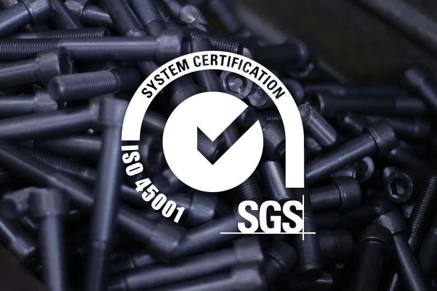ISO 45001 Vibo